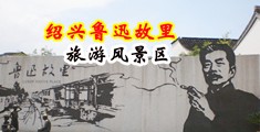 我想看插逼视频中国绍兴-鲁迅故里旅游风景区